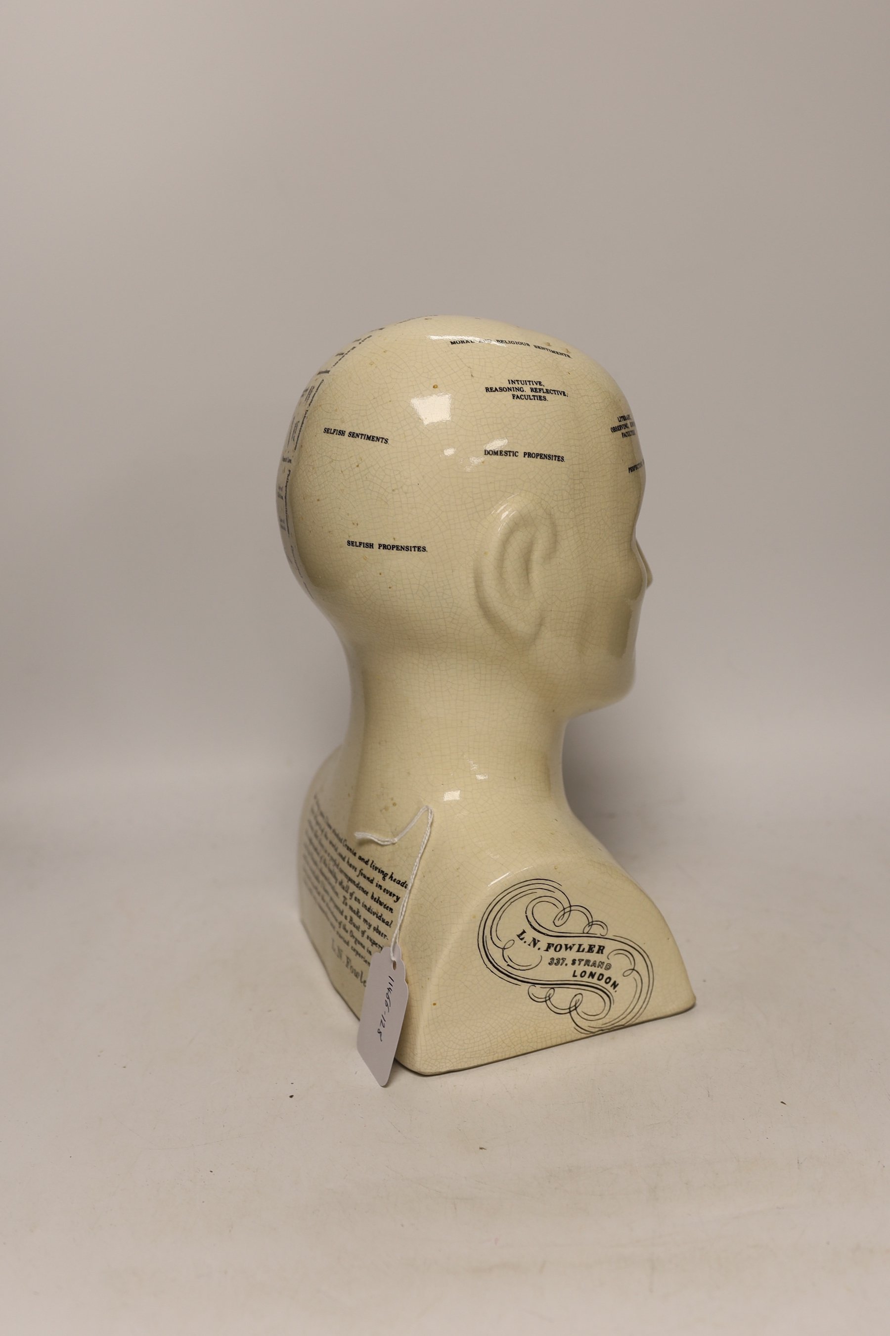 A reproduction Phrenology bust, 30cm